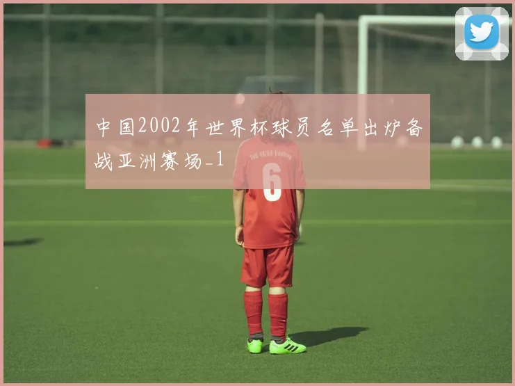中国2002年世界杯球员名单出炉备战亚洲赛场_1