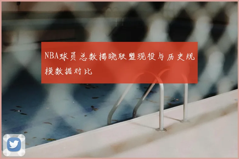 NBA球员总数揭晓联盟现役与历史规模数据对比