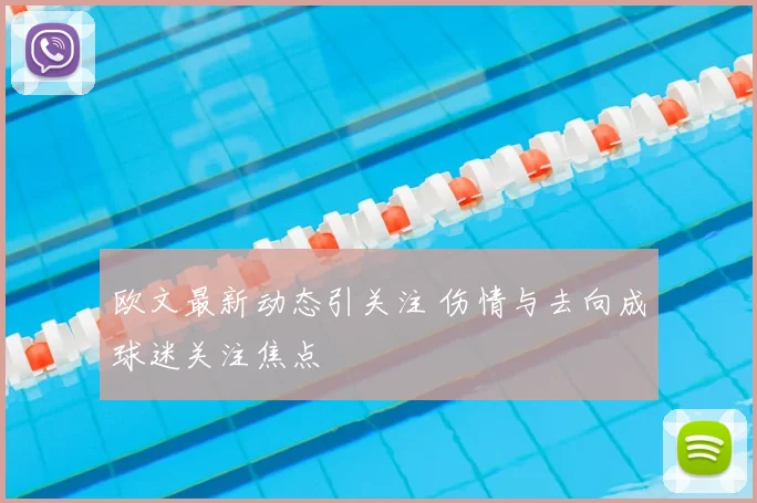欧文最新动态引关注 伤情与去向成球迷关注焦点