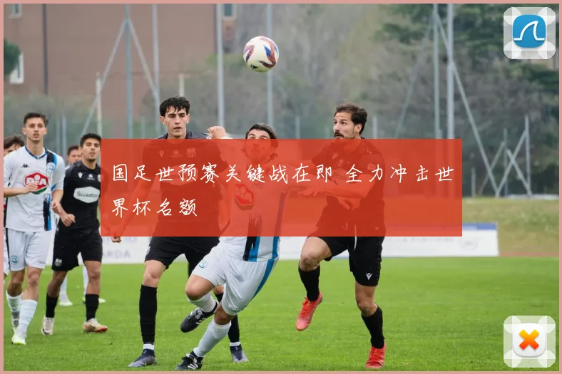 国足世预赛关键战在即 全力冲击世界杯名额