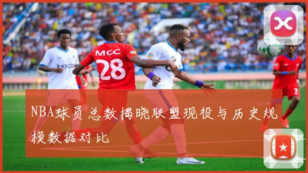 NBA球员总数揭晓联盟现役与历史规模数据对比
